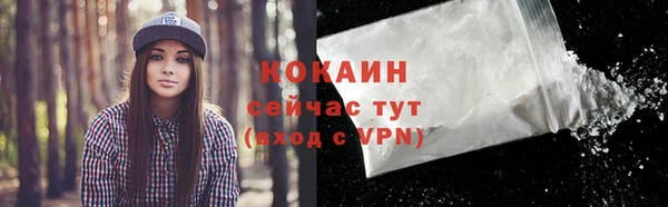 прущие грибы Михайловка
