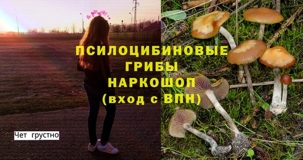 метадон Галич