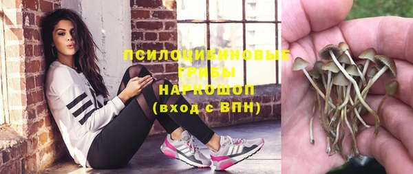 spice Михайловск